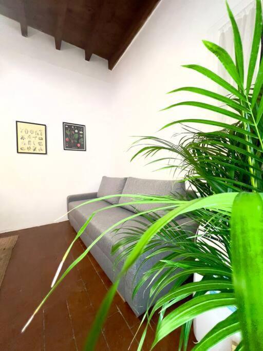 Ferienwohnung Casa Centro Firenze Wi Fi Aria Condizionata Netflix Exterior foto