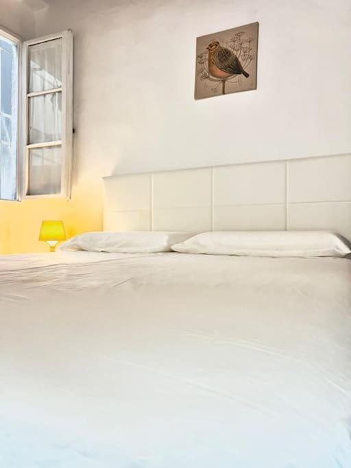 Ferienwohnung Casa Centro Firenze Wi Fi Aria Condizionata Netflix Exterior foto